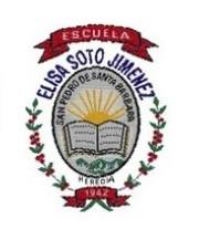 escuela-elisa-soto